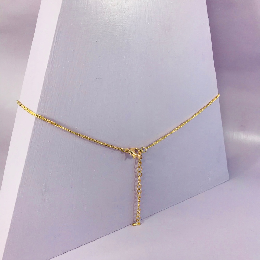 Tortoise Bar Collar - Picture 7 of 7